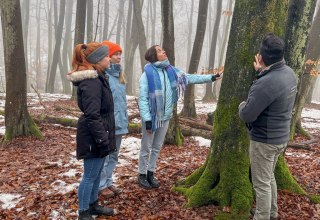 &copy; Nationalpark-Zentrum K&Ouml;NIGSSTUHL