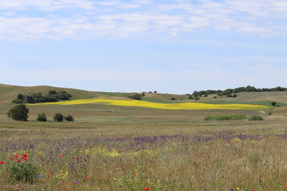 Góry Zicker, © Bildarchiv Biosphärenreservatsamt Südost-Rügen