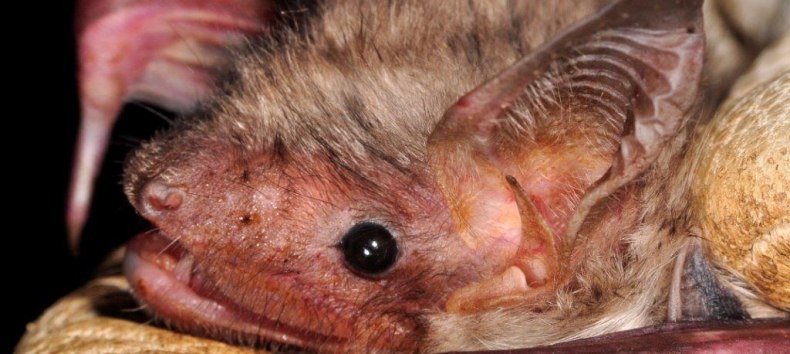 &copy; Naturpark Feldberger Seenlandschaft A. Griesau