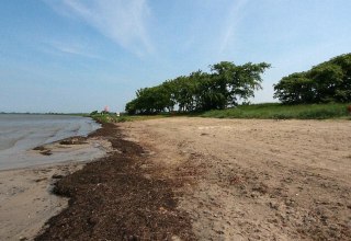 Schaproder Bodden // &copy; surflocal.de
