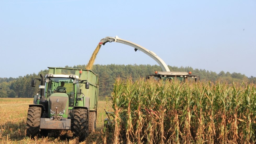 De boerderij is gespecialiseerd in gewassen zoals winterkoolzaad en tarwe, maïs en suikerbieten., © Peeneland Agrar GmbH De boerderij is gespecialiseerd in gewassen zoals winterkoolzaad en tarwe, maïs en suikerbieten., © Peeneland Agrar GmbH
