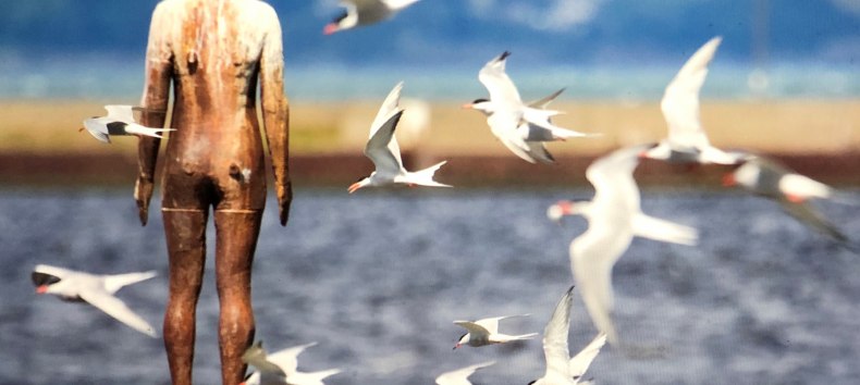 &copy; Annette Zacharias