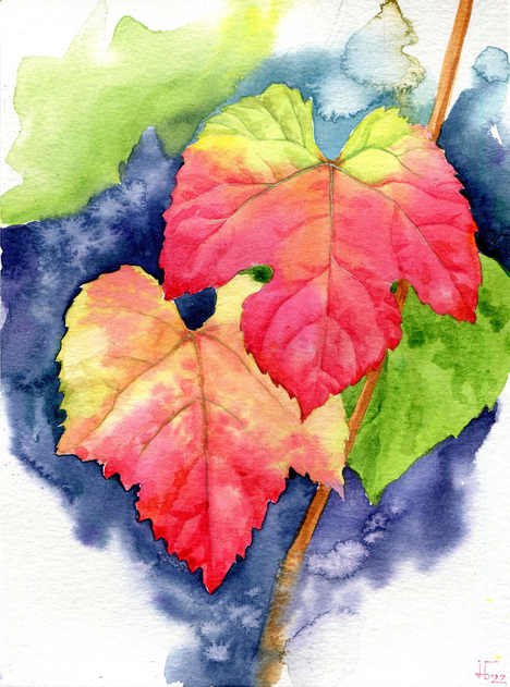 © Jenny Thalheim © Jenny Thalheim