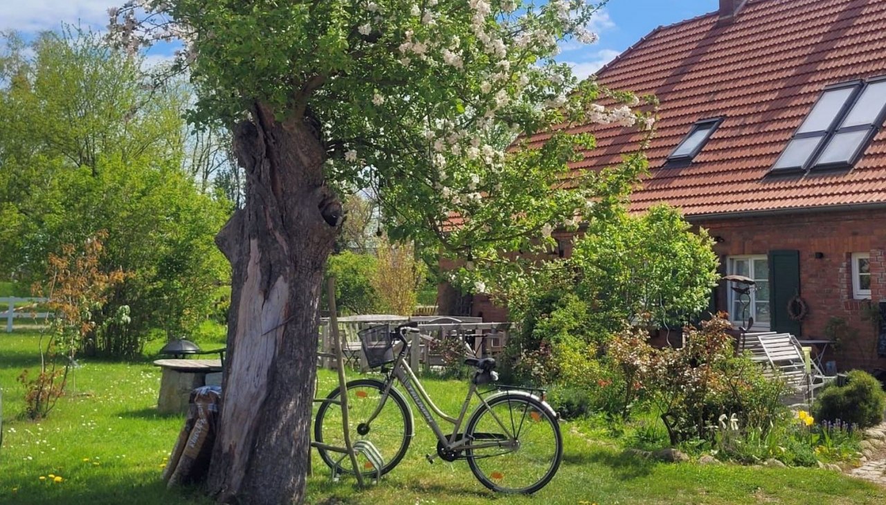 IMG-20230712-WA0019, © Seminar- und Landhotel Schönbeck IMG-20230712-WA0019, © Seminar- und Landhotel Schönbeck