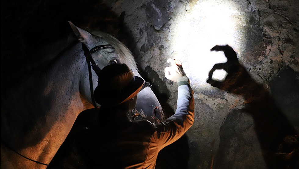 Shadow play in horse theater // &copy; Pferdetheater/Detlef Witt