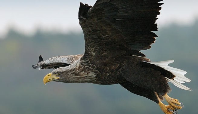 © Nationalpark-Service Federow © Nationalpark-Service Federow