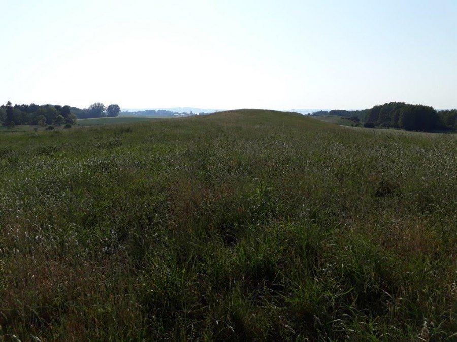 Sommersdorfer Os, uitzicht op de Kummerowersee, © A. Groh