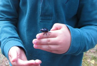 &copy; NPA M&uuml;ritz