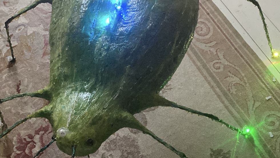 Beetle, &copy; Juliane Held