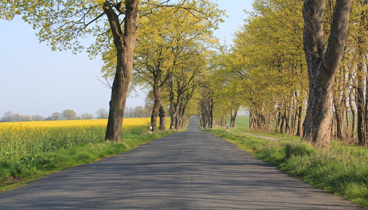 W drodze na Pomorze Przednie, &copy; Tourismusverband Vorpommern e.V.
