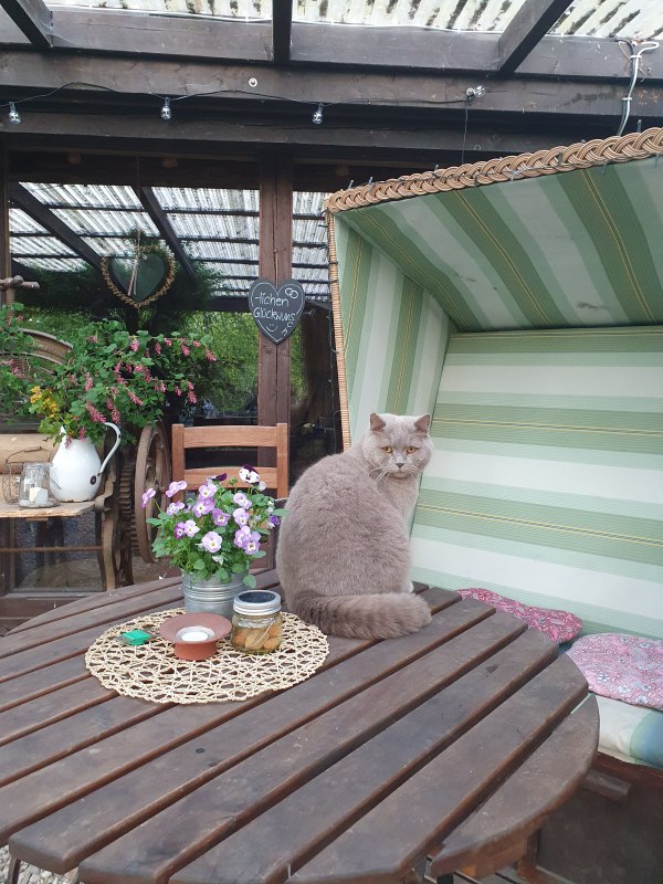 20250428_192957, &copy; Nussbaumhof MV