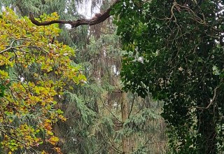 &copy; KV M&ouml;nchgut