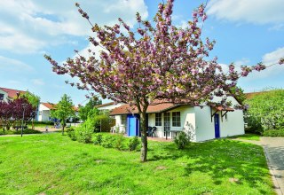 Ferienhaus im Familienferiendorf Rerik im Fr&uuml;hling // &copy; AWO SANO gGmbH