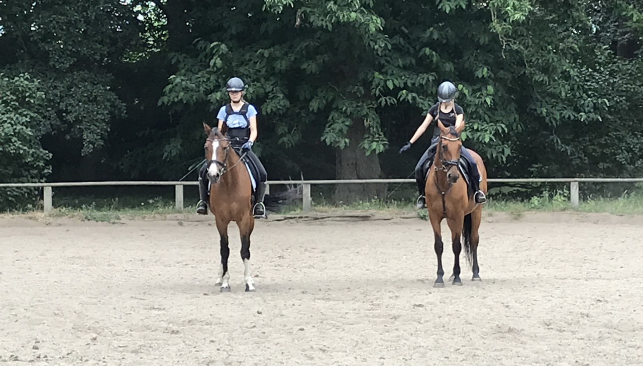 Trening ujeżdżeniowy na torze w Daugzin, © Karoline Görs