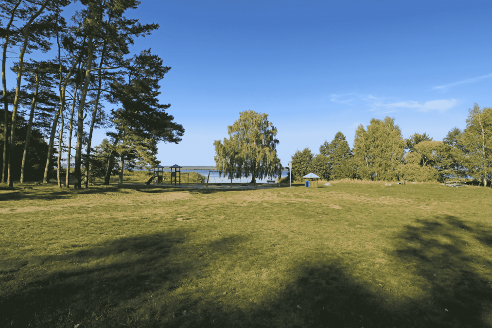 Łąka przy kąpielisku Rieth, © TMV/Gohlke