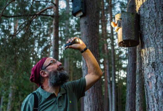 Nietoperzowa wędrówka z wycieczką po Nossentiner Schwinzer Heide
