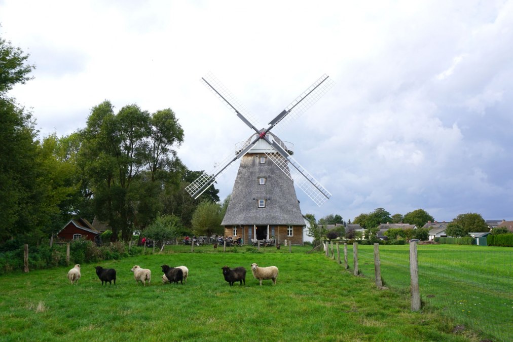 Koffiemolen Ahrenshoop, © Kurverwaltung Ahrenshoop
