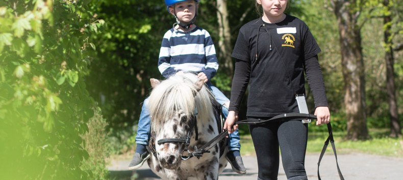 Dzień w stajni dla dzieci w wieku od 6 lat: Jazda konna, zabawy z kucykami, pielęgnacja i opieka od 10 do 15 godz. Dzień pełen wrażeń w stajni. // &copy; de