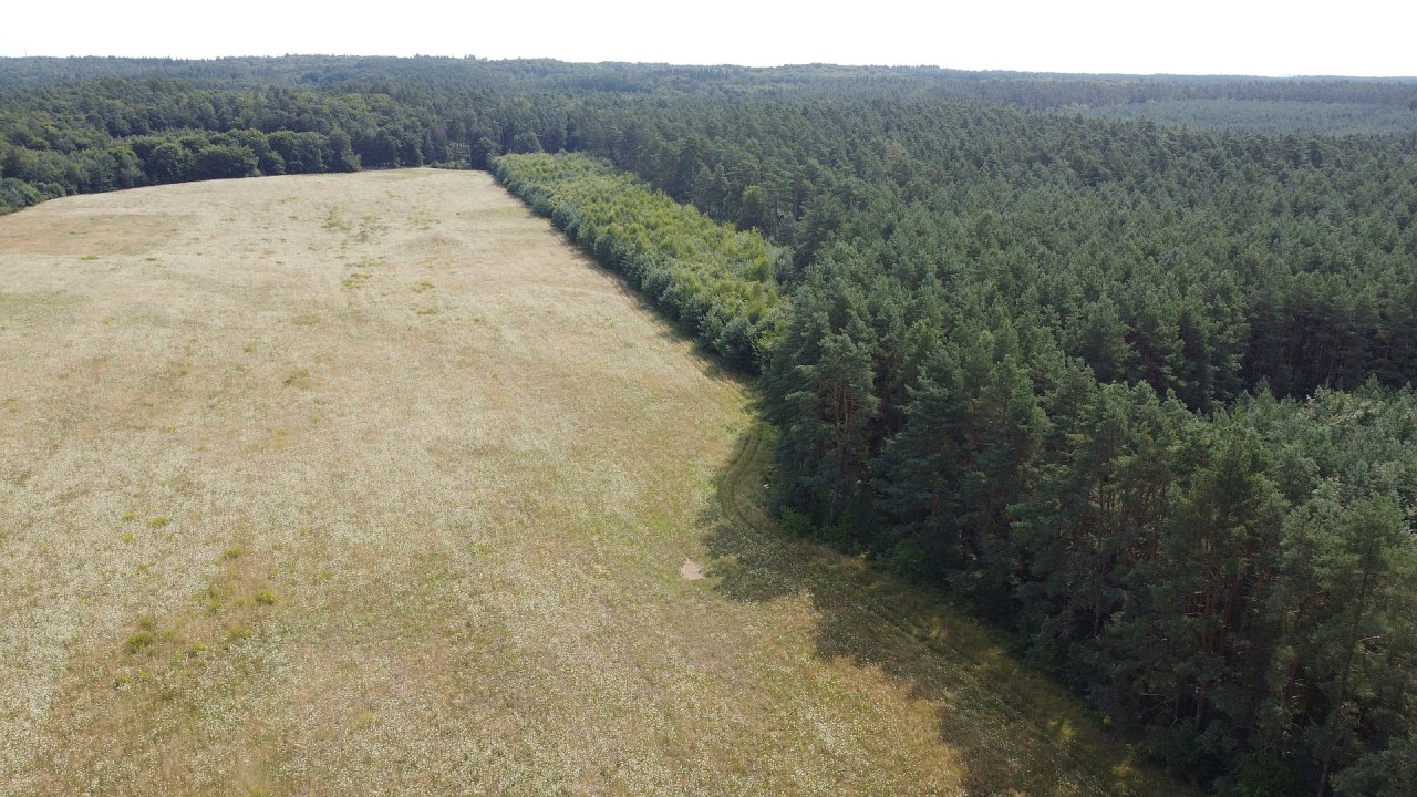 DJI_0405, © Landesforst MV DJI_0405, © Landesforst MV