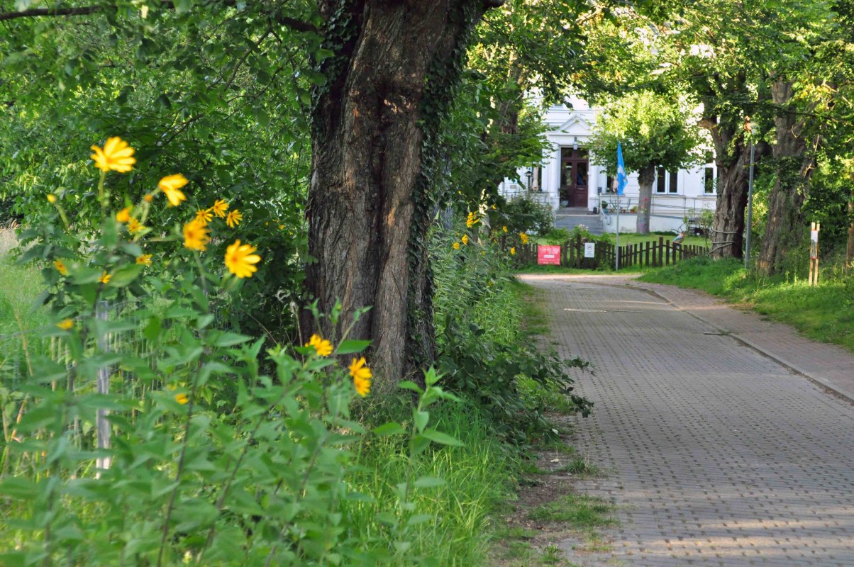 A cozy spot... If you are traveling by bike from Barth to Stralsund or vice versa, you won't get past us. // © Christa Dregger A cozy spot... If you are traveling by bike from Barth to Stralsund or vice versa, you won't get past us. // © Christa Dregger
