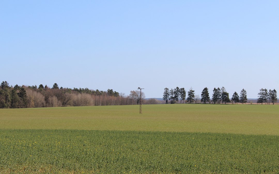 Widok na zamieszkane oczodoły, © Kur- und Tourismus GmbH Göhren-Lebbin