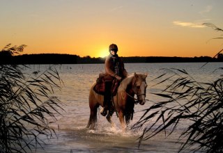 Mit dem Fennhof im &auml;u&szlig;ersten nordosten Deutschlands das Abenteuer reiten hautnah und intensiv erleben // &copy; Fennhof/ Hafermalz