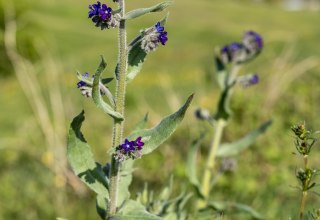 &copy; Lars Wehrmann