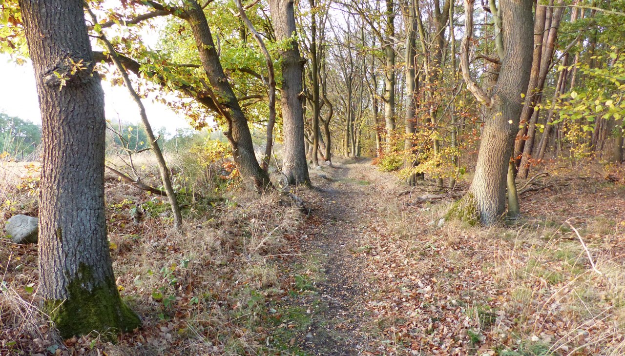 Hiking trail near Kritzow, &copy; Naturpark Sternberger Seenland
