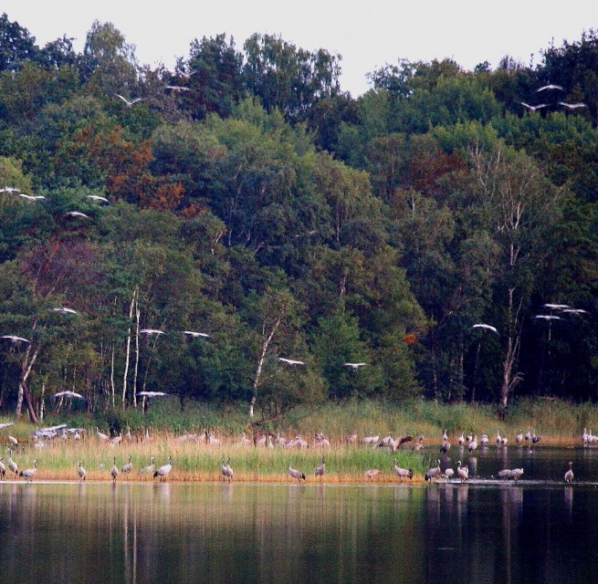 © Reinhard Sobiech © Reinhard Sobiech