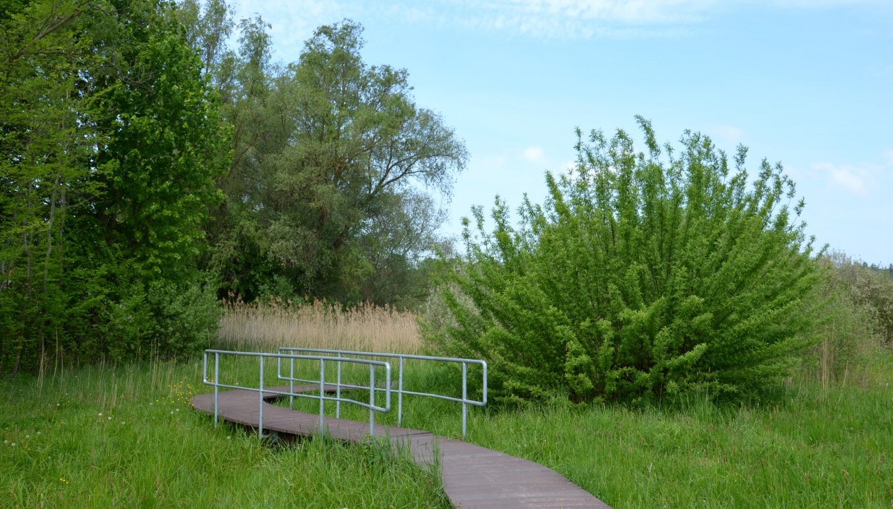 Można rozpocząć bezpośrednio z parkingu przy Strelitzer Straße/wejścia lokalnego, © Kurverwaltung FSL Można rozpocząć bezpośrednio z parkingu przy Strelitzer Straße/wejścia lokalnego, © Kurverwaltung FSL