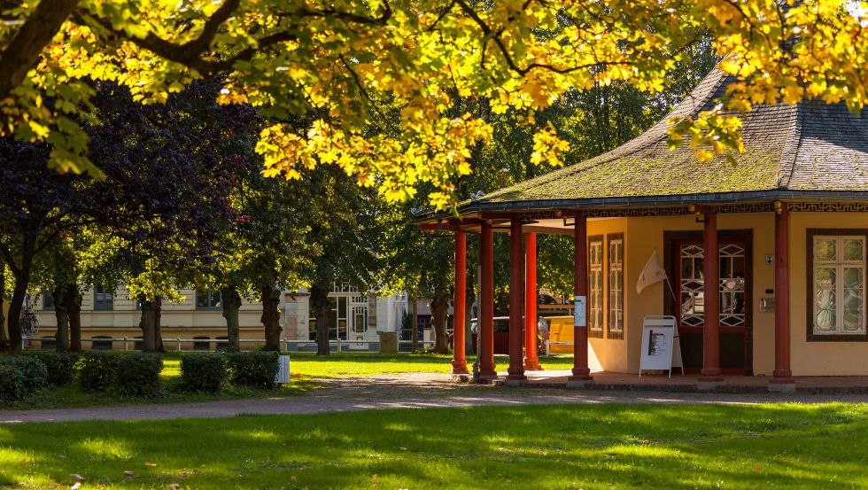 Doberaner Kamp in de herfst, © VMO, Alexander Rudolph