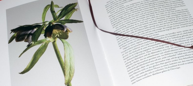 &copy; Christine Becker