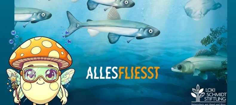 Plakat Langer Tag der StadtNATUR 2026 // &copy; Loki-Schmidt-Stiftung/ Stadt Hagenow