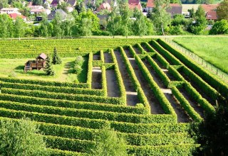 Maze at the Waldeck in Dargun // &copy; Stadt Dargun