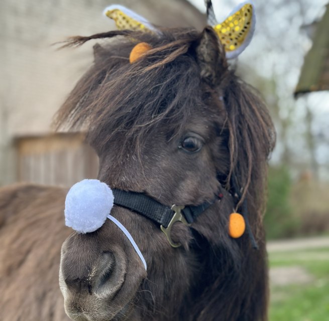 Pasen met de Bernstein Ruiters // &copy; De