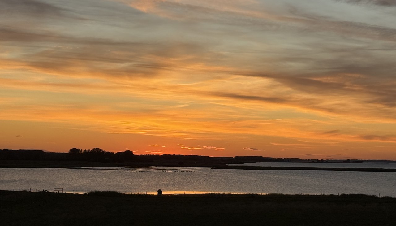 Sunrise, © Vogeltouren MV