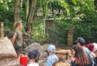 Kommentierte Stachelschweinfütterung im Zoo Stralsund // © Hansestadt Stralsund Kommentierte Stachelschweinfütterung im Zoo Stralsund // © Hansestadt Stralsund