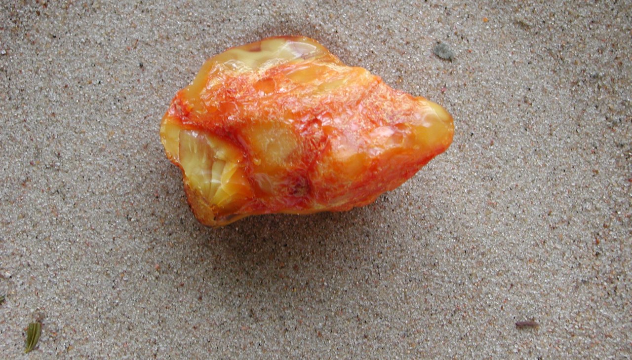 Wykład "Bursztyn i fosfor" z Cariną Reich, &copy; dscn8767