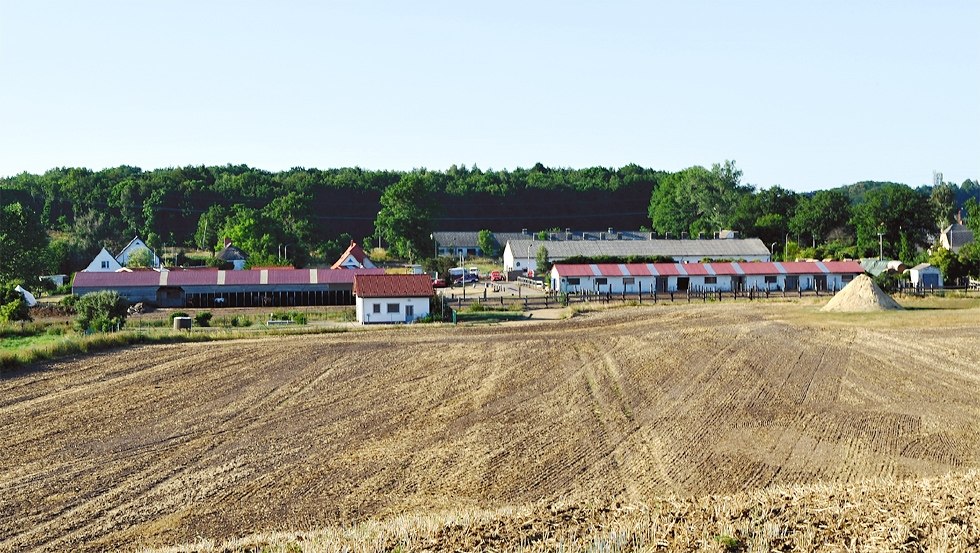 Centraal gelegen op het eiland Rügen bij de kustplaatsen aan de Oostzee: Hof-Viervitz, © Hof-Viervitz/Hermann