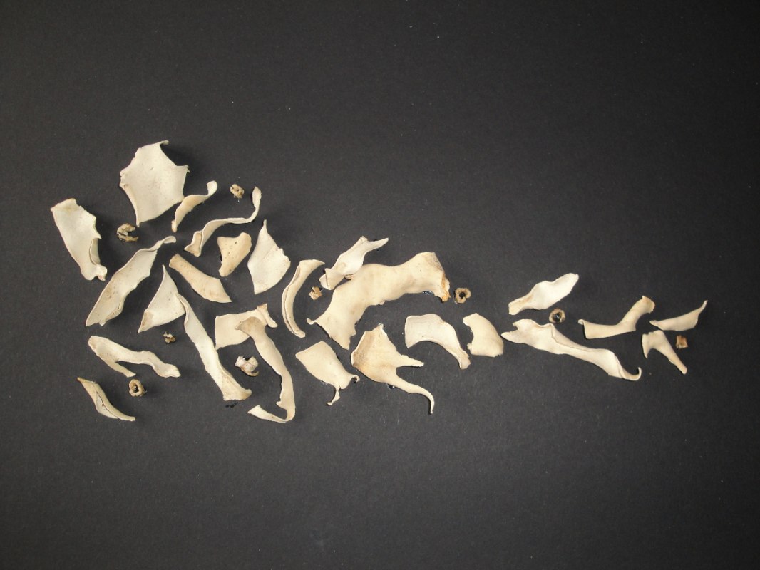 &copy; Ulrike von Laar