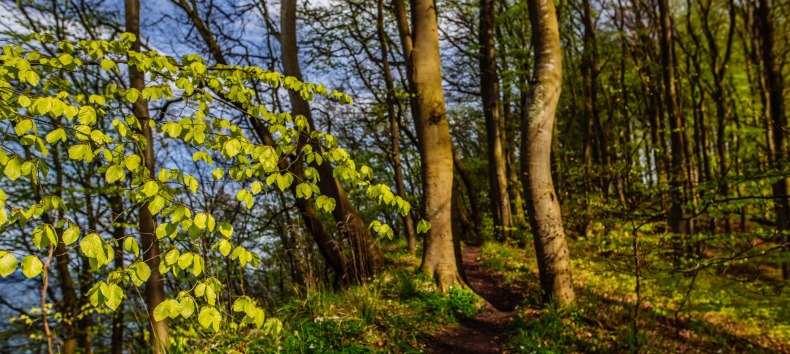 &copy; Binzer Bucht Tourismus | Christian Thiele