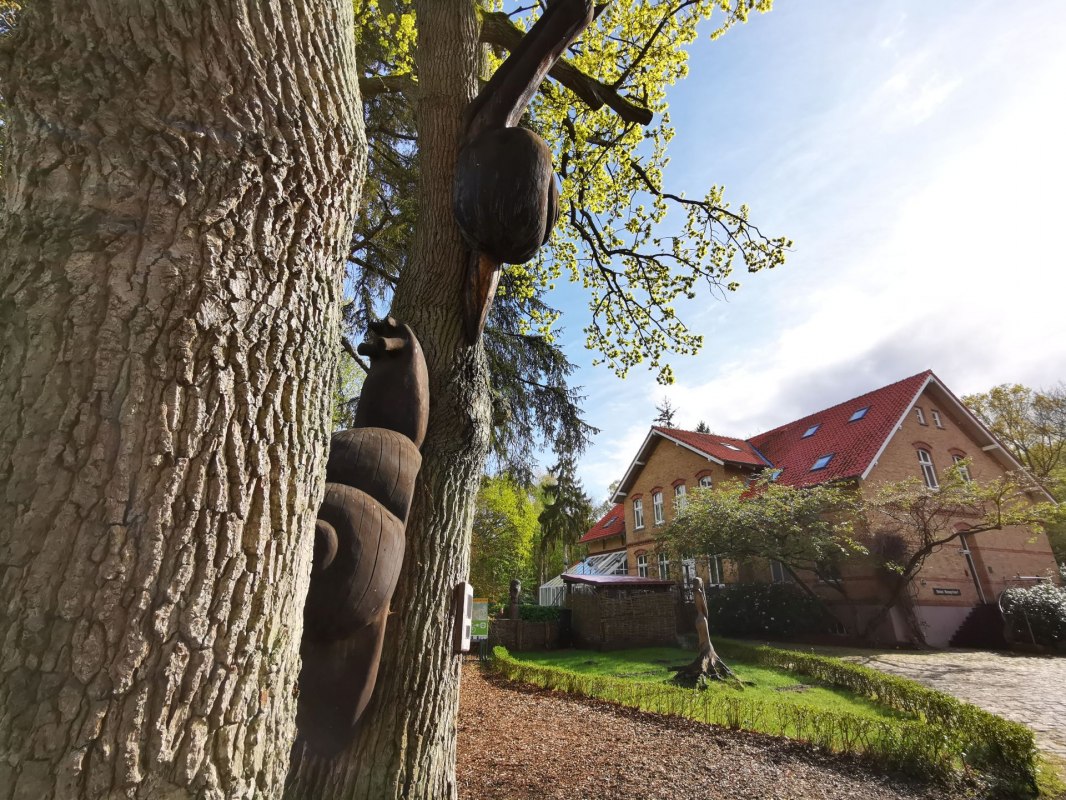 Hotel Schl&ouml;sschen Sundische Wiese // &copy; Hotel Schl&ouml;sschen Sundische Wiese