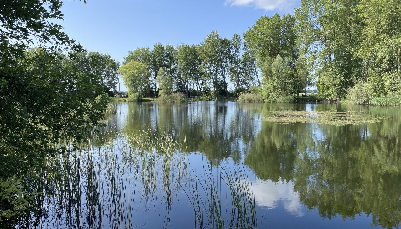 IMG_4963, &copy; TZ S&uuml;dliche Boddenk&uuml;ste