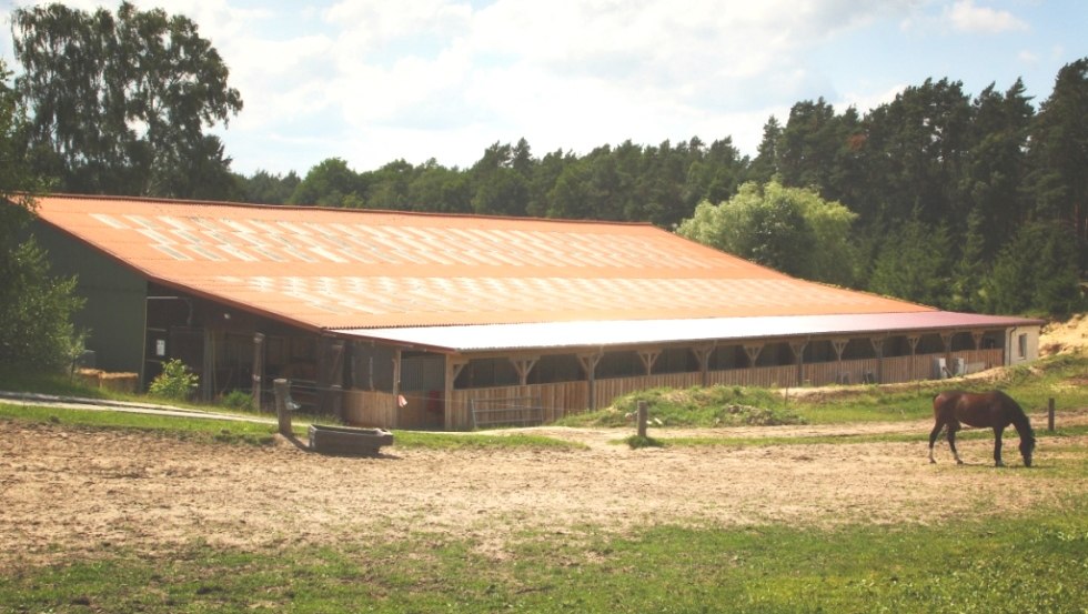 Op de Tanger boerderij kun je je vakantie het hele jaar door in het zadel beleven // © Bauernhof Tanger/ Cornelia Tanger Op de Tanger boerderij kun je je vakantie het hele jaar door in het zadel beleven // © Bauernhof Tanger/ Cornelia Tanger
