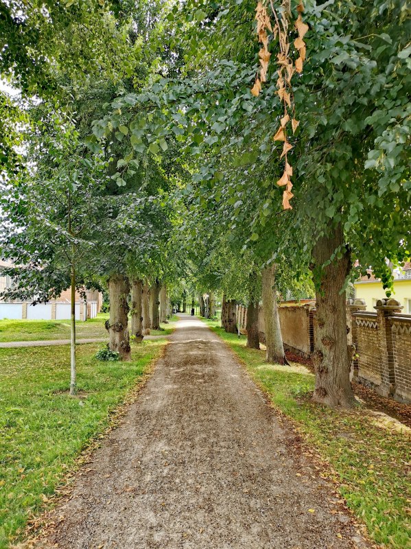 Alley near the Steintor Malchin // &copy; E-Bike MV