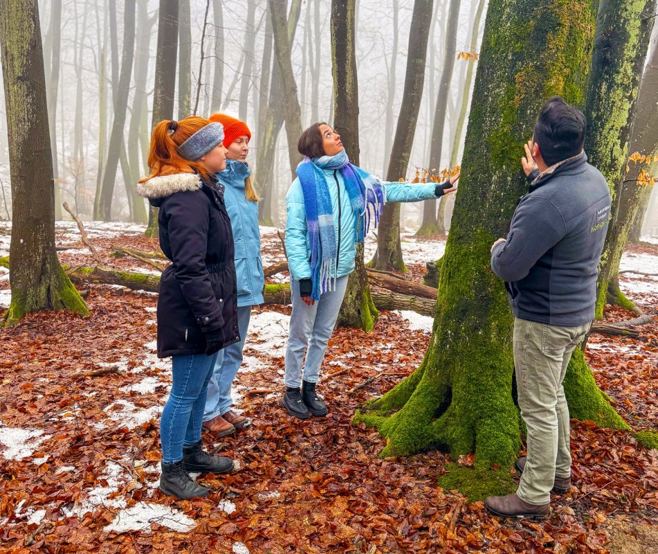 © Nationalaprk-Zentrum KÖNIGSSTUHL © Nationalaprk-Zentrum KÖNIGSSTUHL