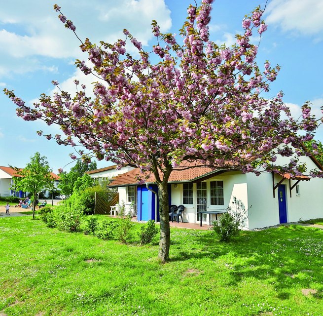 Ferienhaus im Familienferiendorf Rerik im Frühling // © AWO SANO gGmbH Ferienhaus im Familienferiendorf Rerik im Frühling // © AWO SANO gGmbH
