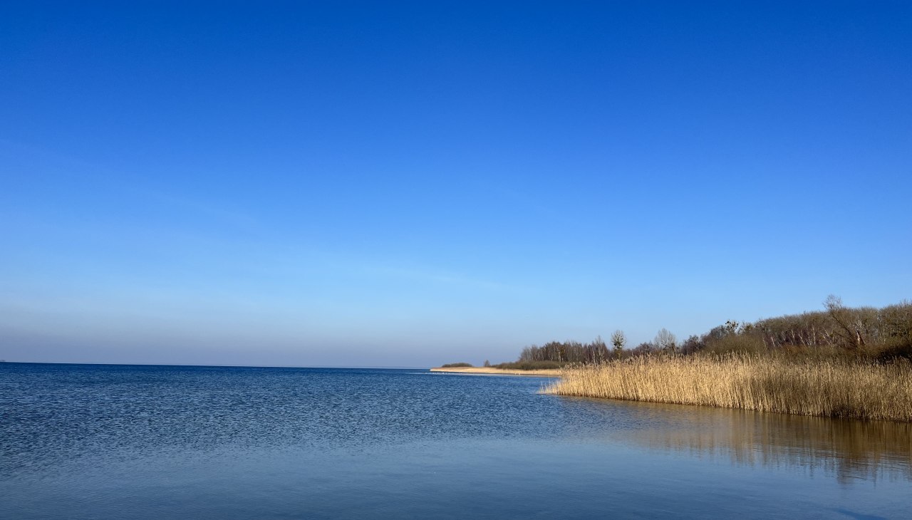 Mili dog beach, &copy; TDG Rechlin mbH