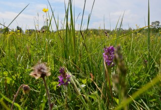 &copy; Kurverwaltung FSL