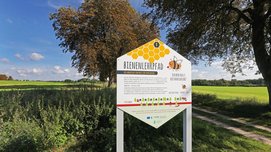 Ścieżka przyrodnicza w krainie Fleesensee_1, © TMV/Gohlke